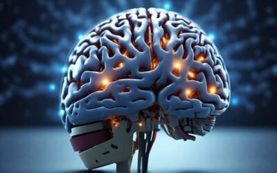 Cyberversicherung – Wissenswertes